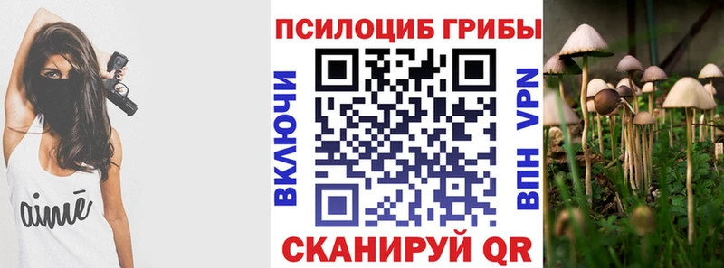 Галлюциногенные грибы MAGIC MUSHROOMS  Купить где  Новомичуринск 